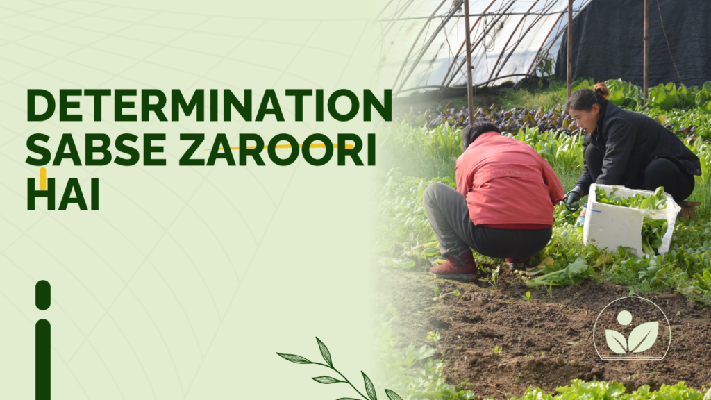 Determination Sabse Zaroori Hai